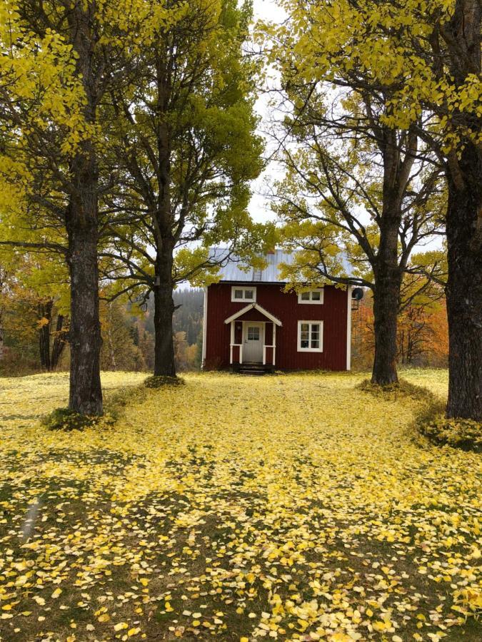 Valagardens Vaerdshus Och Camping Ab Valadalen Luaran gambar