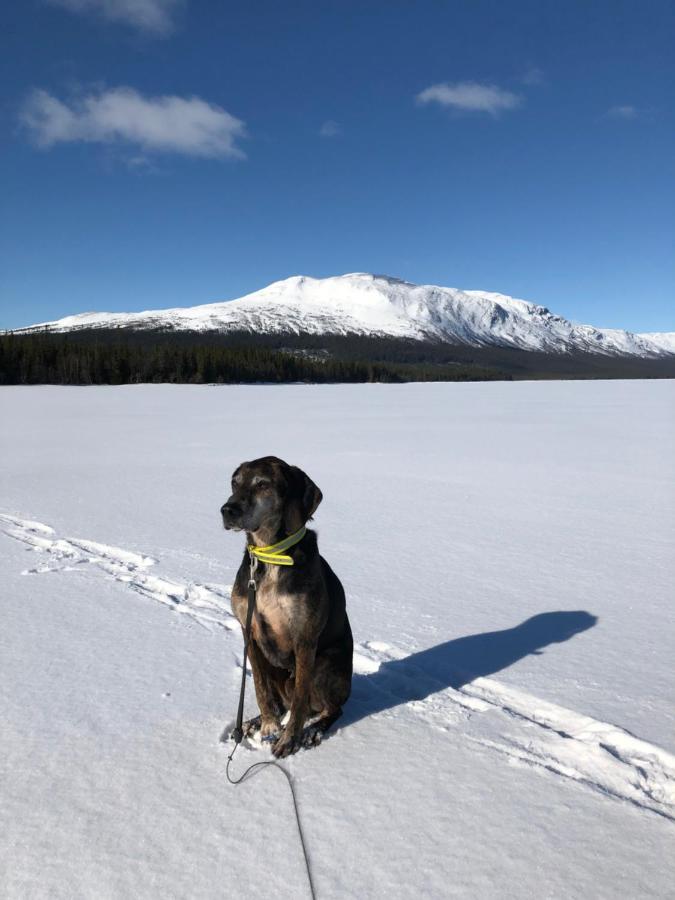 Valagardens Vaerdshus Och Camping Ab Valadalen Luaran gambar